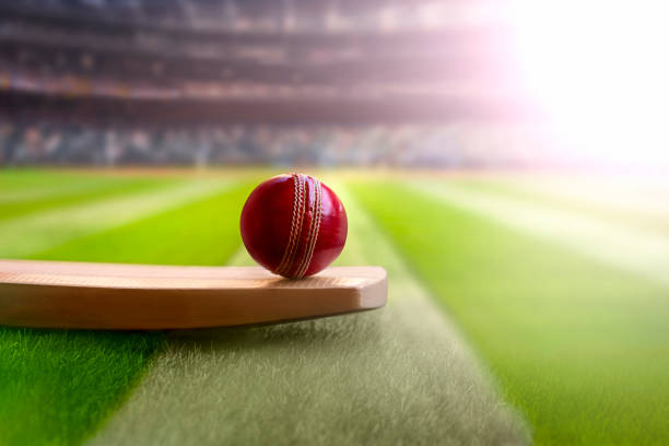 The Influence of IPL on Cricketing Trends and Innovations