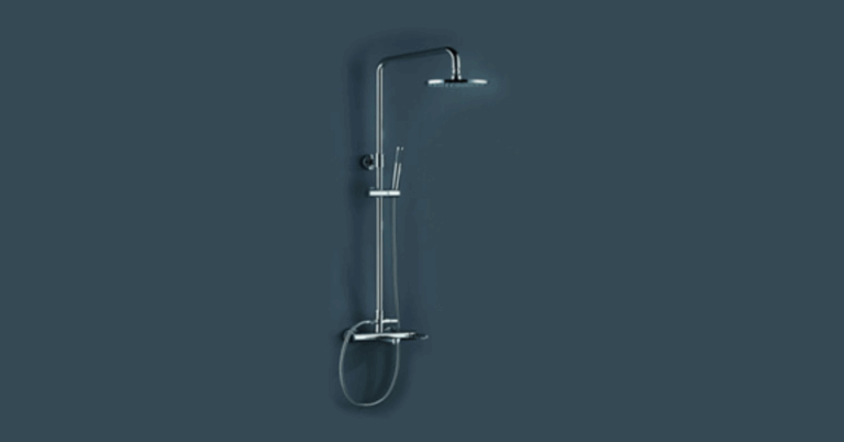 Enhance Your Bathroom Experience with the Best Rain Shower Head Singapore